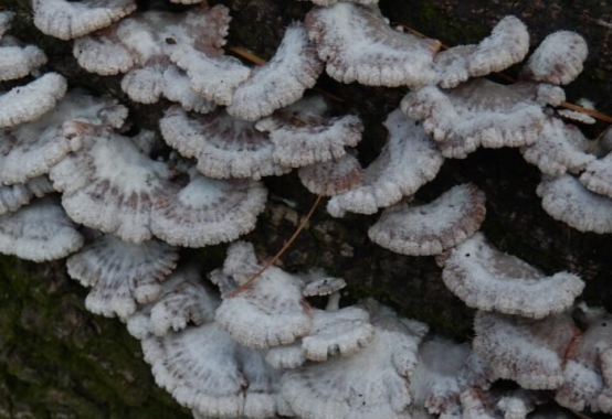 圖片關(guān)鍵詞 圖片關(guān)鍵詞