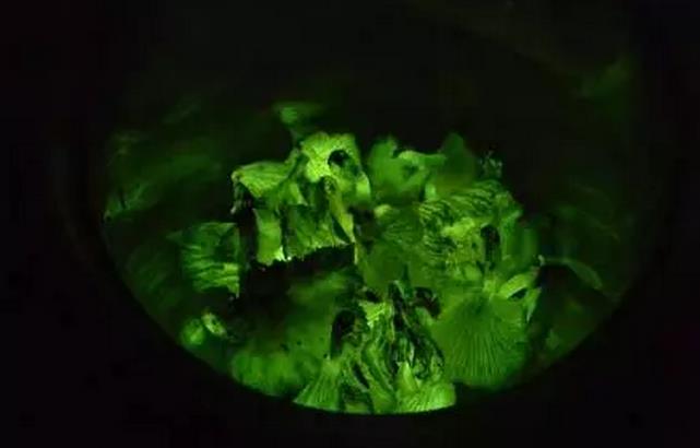 圖片關(guān)鍵詞 圖片關(guān)鍵詞