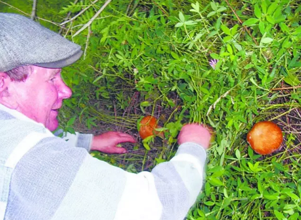 圖片關(guān)鍵詞 圖片關(guān)鍵詞