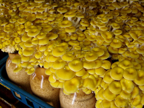 圖片關(guān)鍵詞 http://www.wuliu1860.cn/ewebeditor/uploadfile/20171009104138453001.png