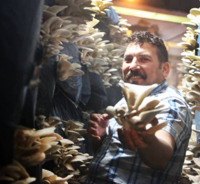 圖片關(guān)鍵詞 圖片關(guān)鍵詞