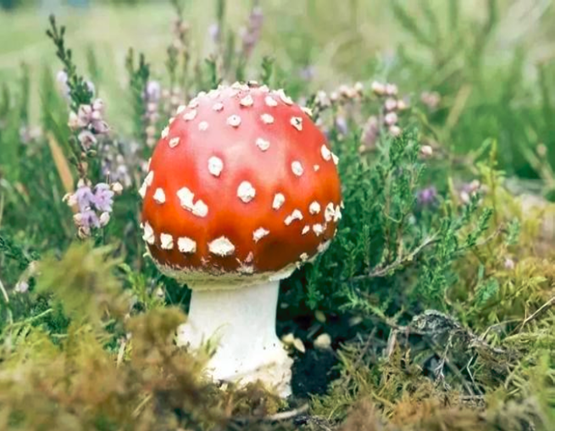 圖片關(guān)鍵詞 圖片關(guān)鍵詞