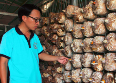 圖片關(guān)鍵詞 圖片關(guān)鍵詞