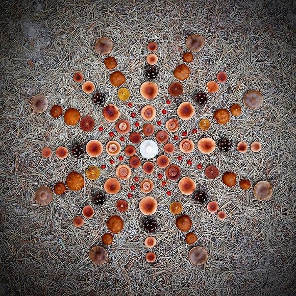 圖片關(guān)鍵詞 http://img1.jiemian.com/jiemian/original/20171123/15114150641839200_a580xH.jpg