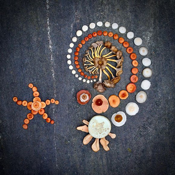 圖片關(guān)鍵詞 http://img1.jiemian.com/jiemian/original/20171123/151141528990893600_a580xH.jpg