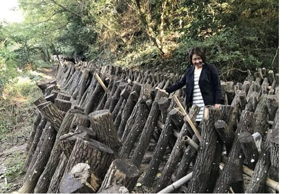 圖片關(guān)鍵詞 圖片關(guān)鍵詞