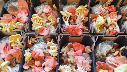 圖片關(guān)鍵詞 圖片關(guān)鍵詞