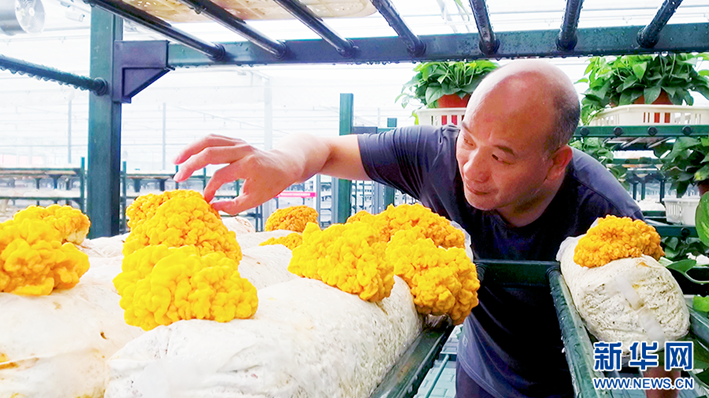 圖片關(guān)鍵詞 圖片關(guān)鍵詞