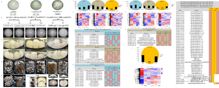 圖片關(guān)鍵詞 圖片關(guān)鍵詞