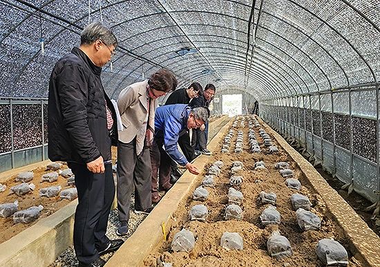 圖片關鍵詞 圖片關鍵詞