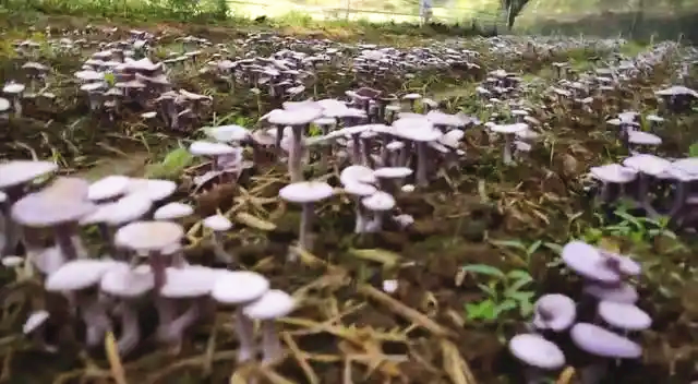 圖片關(guān)鍵詞 圖片關(guān)鍵詞