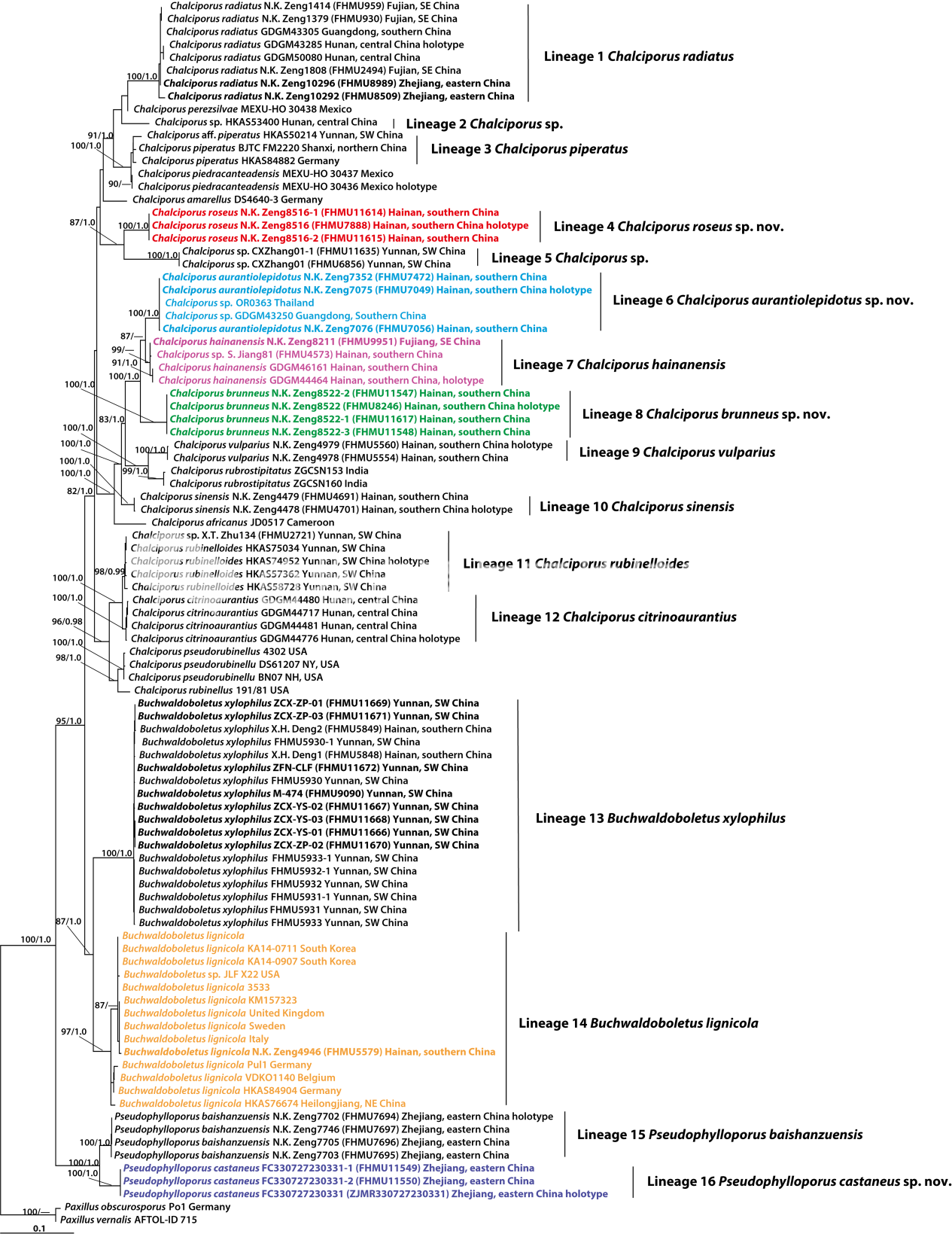 圖片關(guān)鍵詞