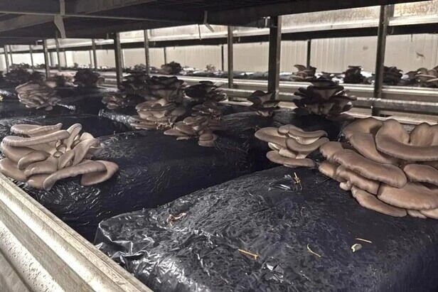 圖片關(guān)鍵詞 圖片關(guān)鍵詞