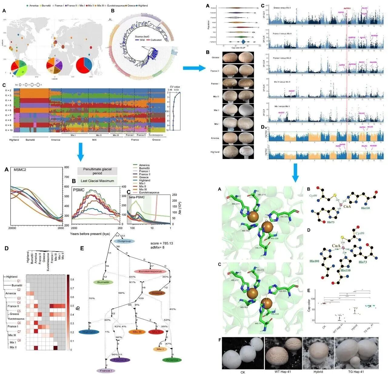 圖片關(guān)鍵詞 圖片關(guān)鍵詞
