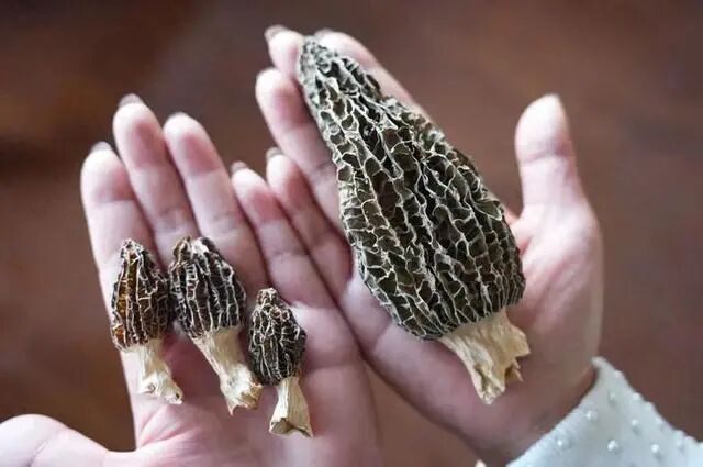 圖片關鍵詞 圖片關鍵詞