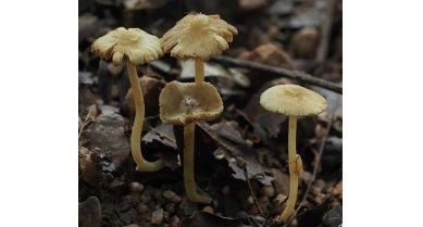 行業(yè)動態(tài)