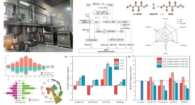 行業(yè)動態(tài)