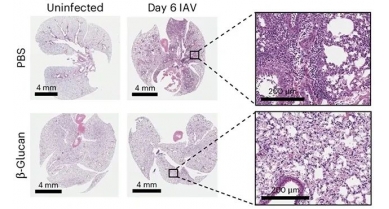 行業(yè)動(dòng)態(tài)