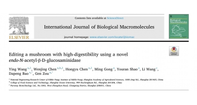 行業(yè)動態(tài)