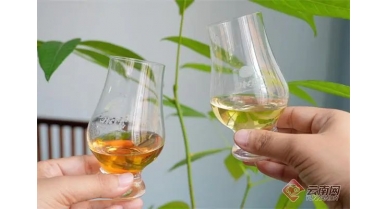 行業(yè)動態(tài)