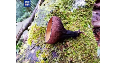 行業(yè)動(dòng)態(tài)