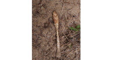 行業(yè)動態(tài)