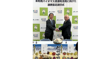 行業(yè)動態(tài)