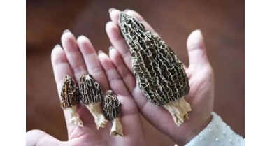 行業(yè)動(dòng)態(tài)